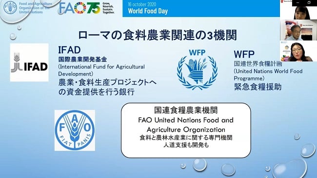 ローマの食料農業関連の3機関 IFAD：国際農業開発基金(International Fund for Agricultural Development)農業・食料生産プロジェクトへの資金提供をおこなう銀行 WFP：国連世界食糧計画(United Nations World Food Programme)緊急食糧援助 FAO：国連食糧農業機関(United Nations Food and Agriculture Organizarion)食料と農林水産業に関する専門機関 人道支援も開発も